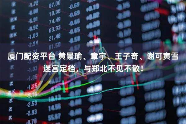 厦门配资平台 黄景瑜、章宇、王子奇、谢可寅雪迷宫定档，与郑北不见不散！